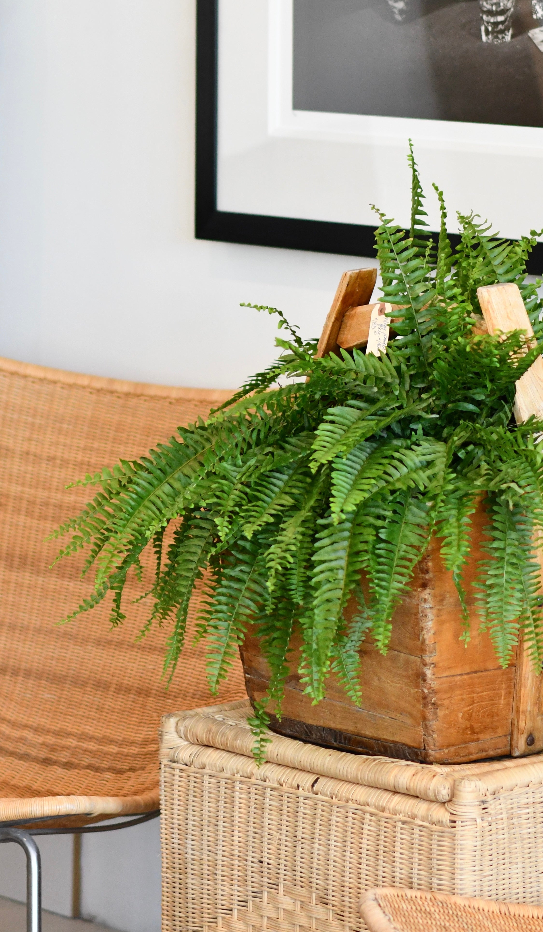 Wooden Planter