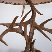 Antler Table Base Lamp