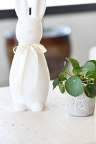 Rabbit Planter, Medium