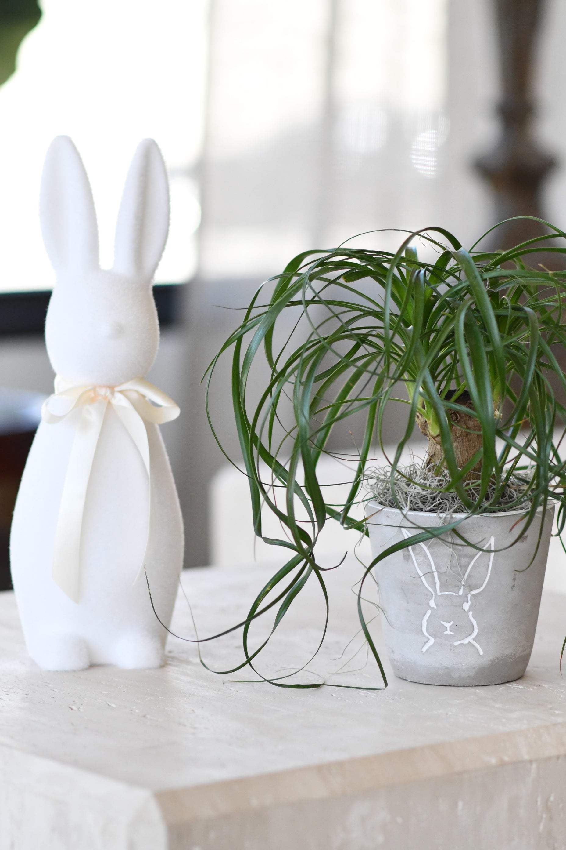 Rabbit Planter, Medium