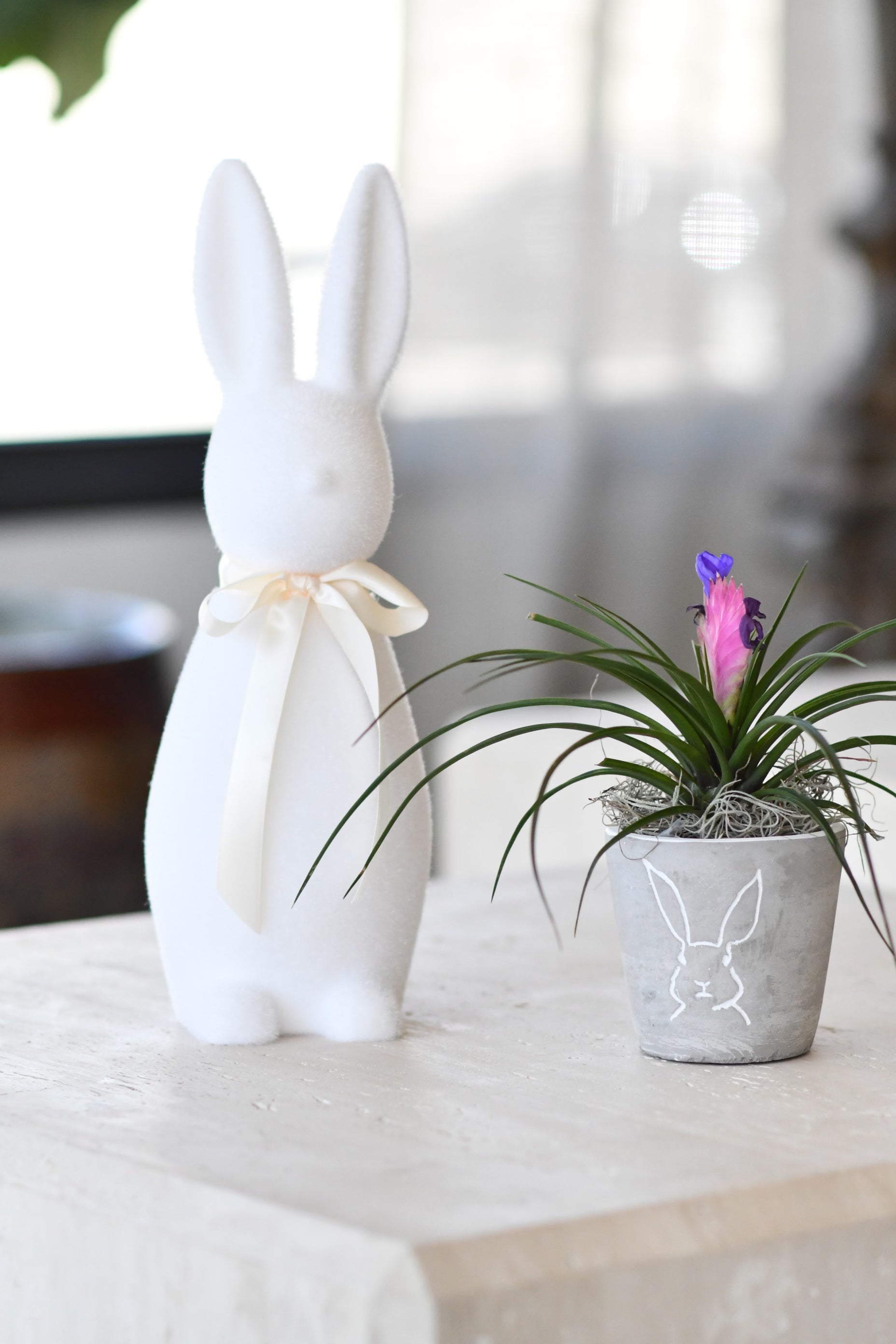 Rabbit Planter, Medium