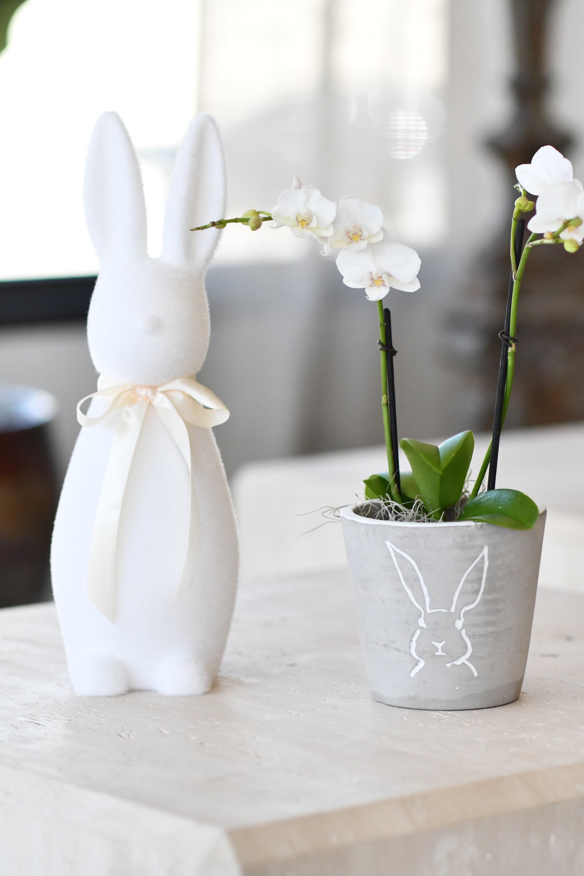 Rabbit Planter, Medium