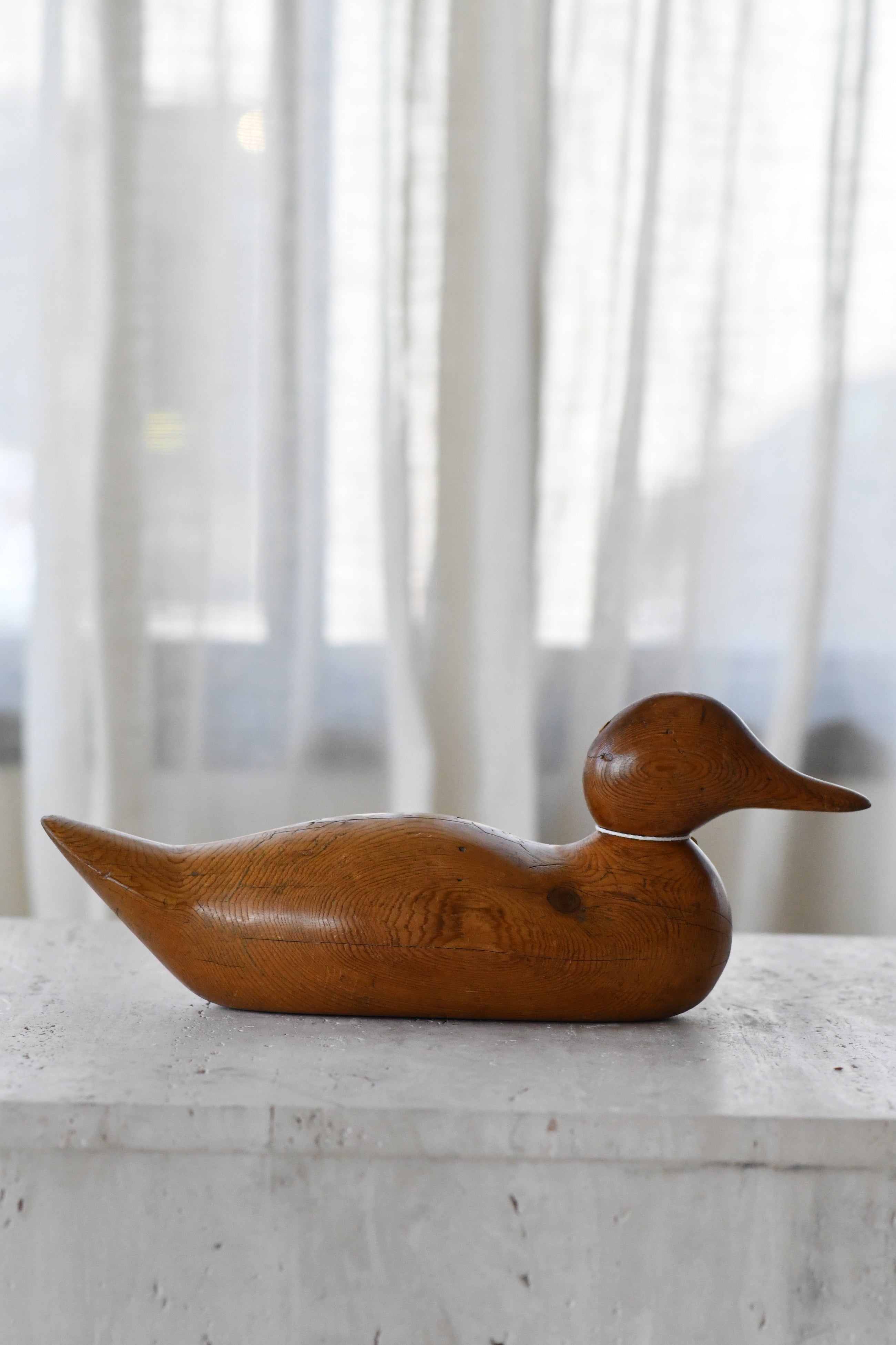 Duck