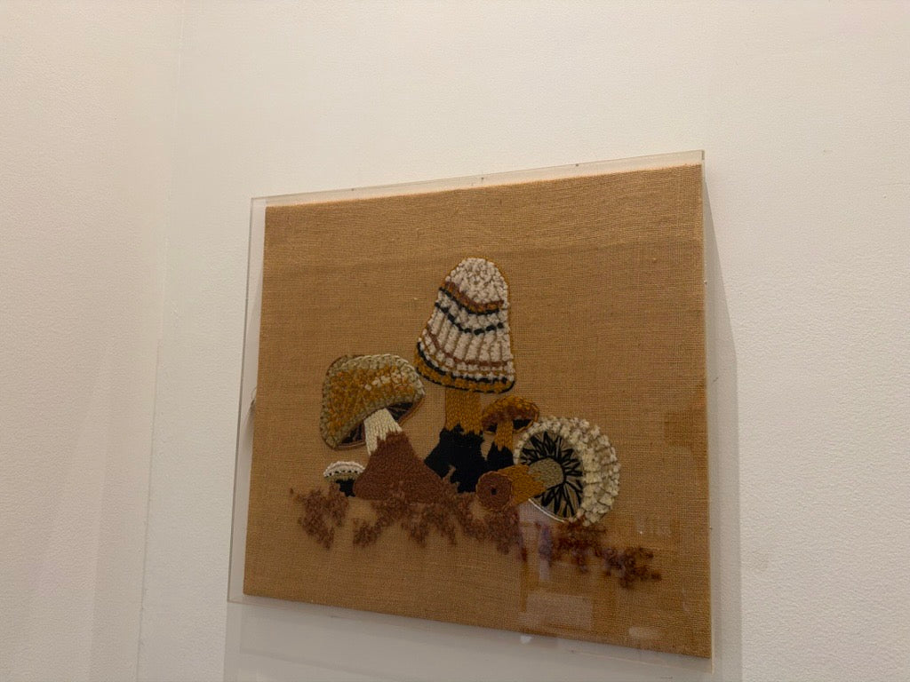 Vintage 1970's "Mushroom's" in acrylic shadow box