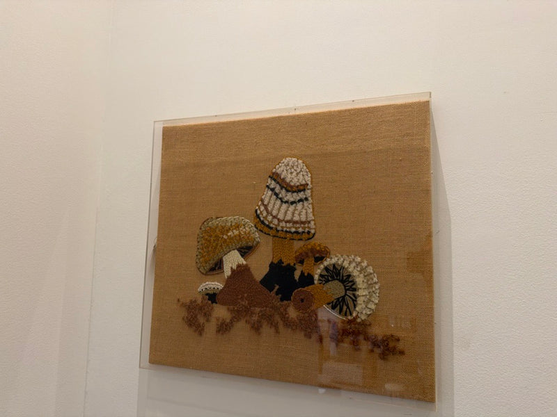 Vintage 1970's "Mushroom's" in acrylic shadow box