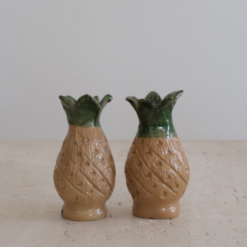Oaxa Pineapple Shakers